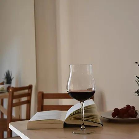 Alte Flugleitung בית הארחה *